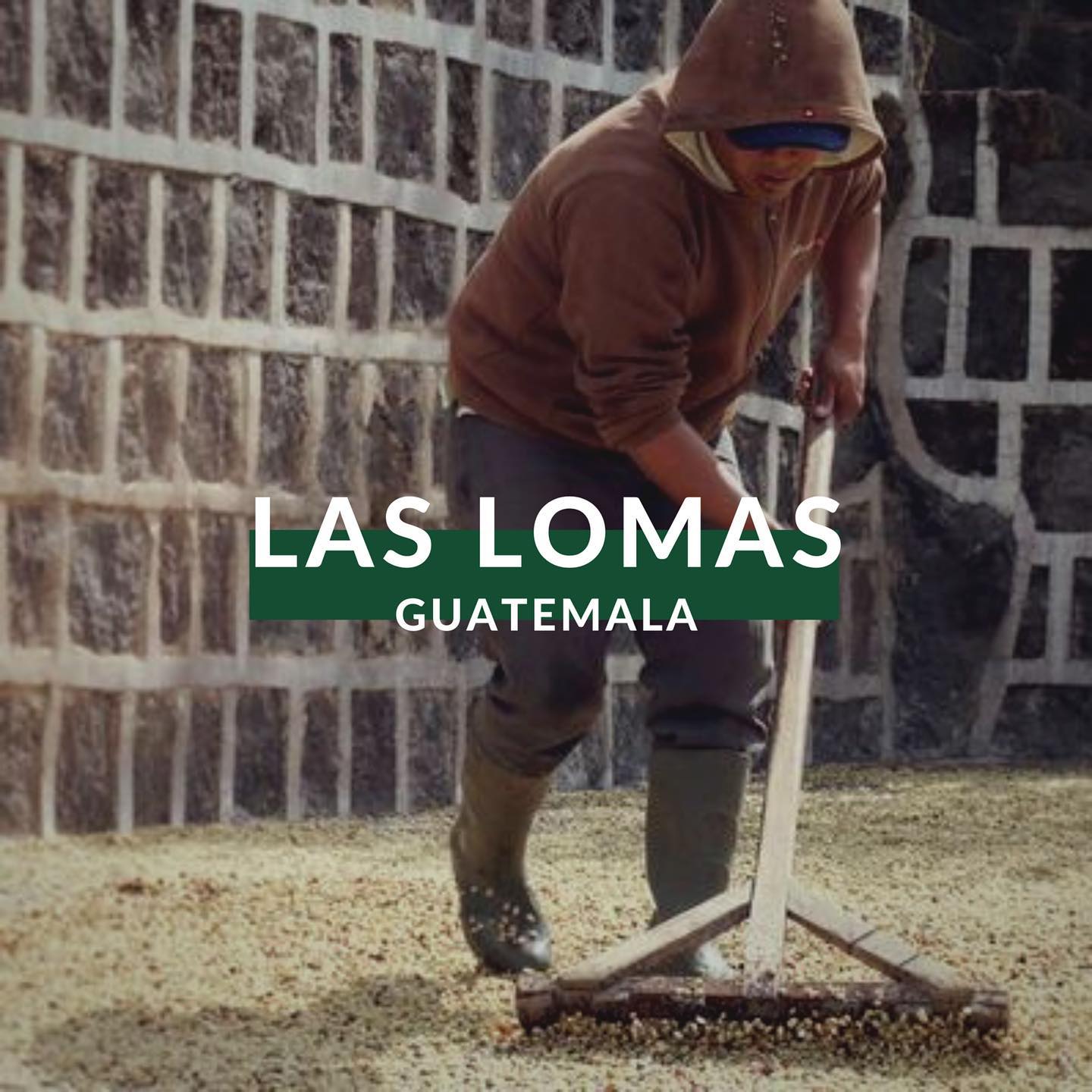 Guatemala "Las Lomas" (12 oz.)